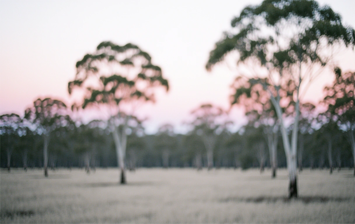 Paysage serein au crépuscule